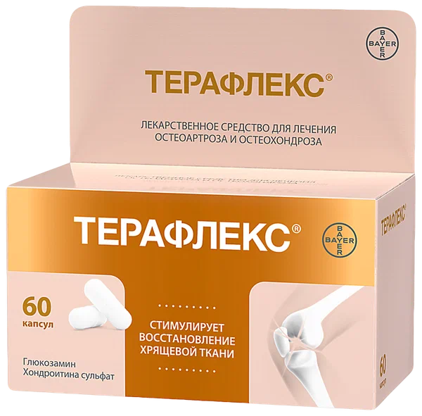 ТЕРАФЛЕКС КАПС 500МГ+400МГ №60