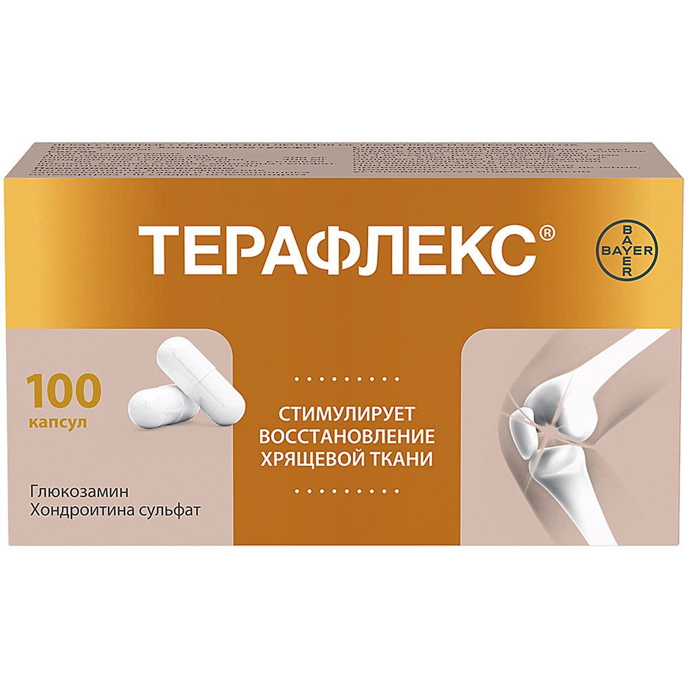 ТЕРАФЛЕКС КАПС 500МГ+400МГ №100