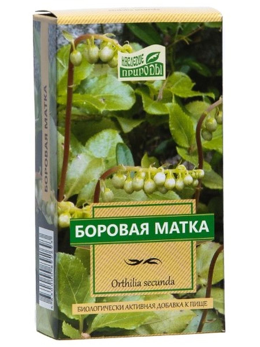 ФИТОЧАЙ БОРОВАЯ МАТКА 30Г/КАМЕЛИЯ/