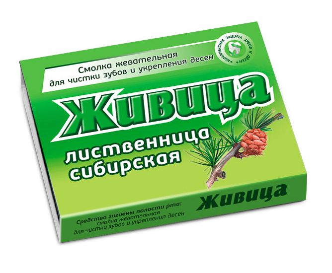 ЖИВИЦА ТАЕЖНАЯ СМОЛКА ЖЕВАТЕЛЬНАЯ ЛИСТВЕННИЦА СИБИРСКАЯ N5