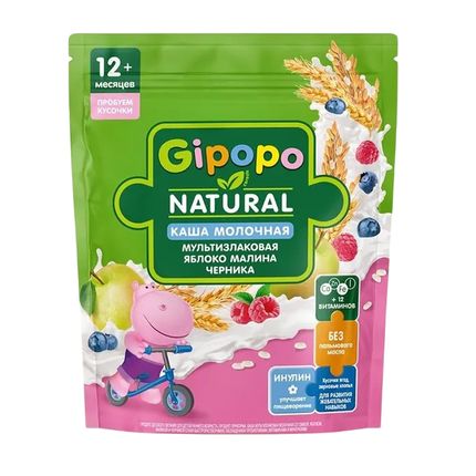ГИПОПО КАША МУЛЬТИЗЛ МОЛ КУС СЛИВА/ЯБЛ/МАЛ/ЧЕРНИКА ПАУЧ 12МЕС+200Г 223673