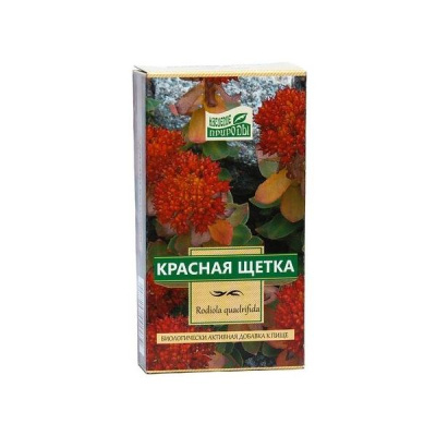 КРАСНАЯ ЩЕТКА РОДИОЛА ЧЕТЫРЕХНАДРЕЗНАЯ 30Г/КАМЕЛИЯ/ фото в интернет-аптеке Склад Лекарств