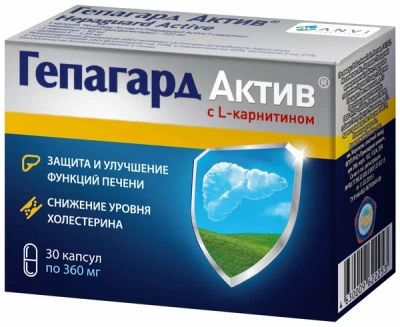 ГЕПАГАРД АКТИВ КАПС 360МГ №30 фото в интернет-аптеке Склад Лекарств