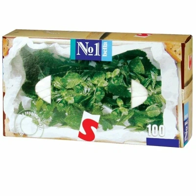 БЕЛЛА ПЛАТОЧКИ БУМАЖНЫЕ С ЗАПАХОМ МЯТЫ №100 фото в интернет-аптеке Склад Лекарств