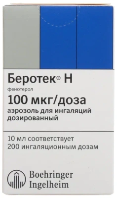 БЕРОТЕК Н АЭРОЗОЛЬ 200ДОЗ 10МЛ фото в интернет-аптеке Склад Лекарств