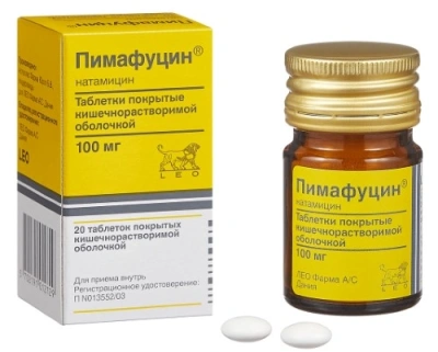 ПИМАФУЦИН ТАБ П/О 100МГ №20 фото в интернет-аптеке Склад Лекарств