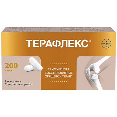 ТЕРАФЛЕКС КАПС 500МГ+400МГ №200 фото в интернет-аптеке Склад Лекарств