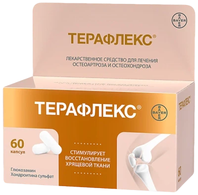 ТЕРАФЛЕКС КАПС 500МГ+400МГ №60 фото в интернет-аптеке Склад Лекарств