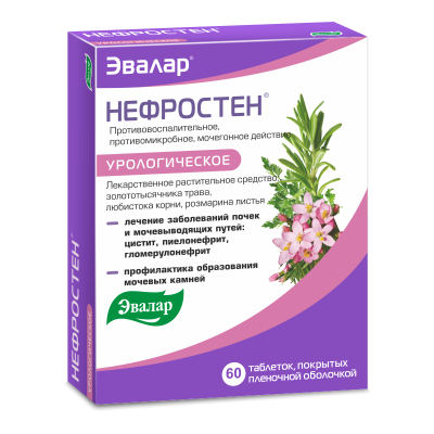 НЕФРОСТЕН ТАБ П/О №60/ЭВАЛАР/ фото в интернет-аптеке Склад Лекарств