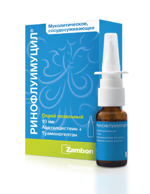 РИНОФЛУИМУЦИЛ СПРЕЙ НАЗ 10МЛ фото в интернет-аптеке Склад Лекарств