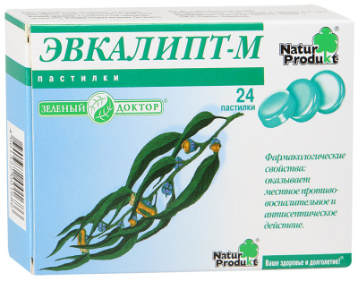ЭВКАЛИПТ-М ПАСТИЛКИ №24 фото в интернет-аптеке Склад Лекарств