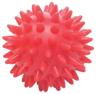 МЯЧ ДЛЯ ФИТНЕСА 5СМ L0105 фото в интернет-аптеке Склад Лекарств