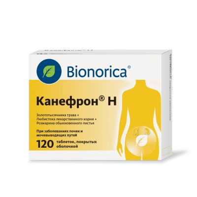 КАНЕФРОН Н ТАБ П/О №120 Д фото в интернет-аптеке Склад Лекарств