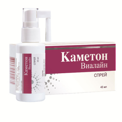 КАМЕТОН АЭРОЗОЛЬ 45Г/ЭСКО ФАРМ/ фото в интернет-аптеке Склад Лекарств