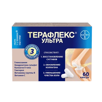 ТЕРАФЛЕКС УЛЬТРА КАПС 875МГ №60 фото в интернет-аптеке Склад Лекарств